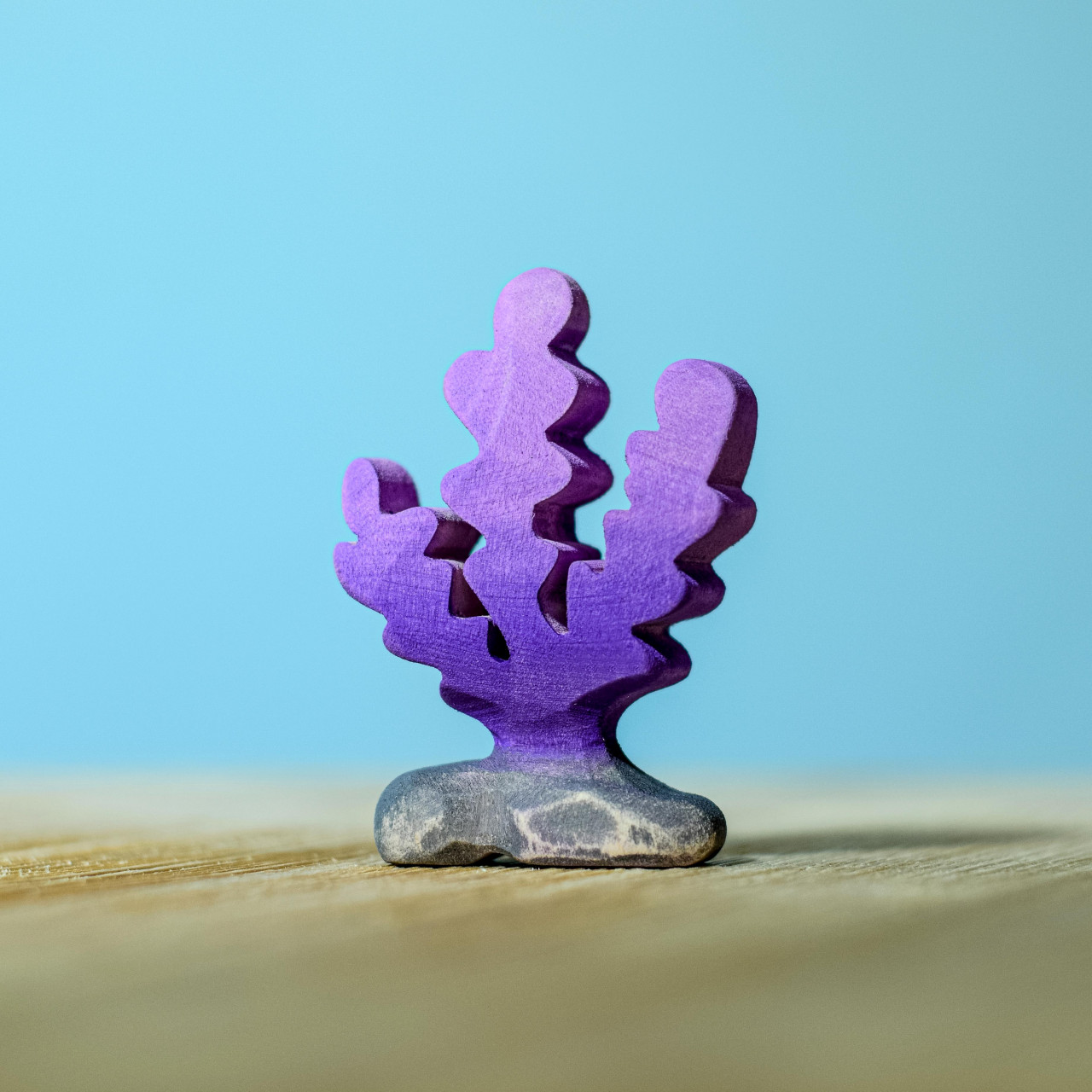 algue-violet-bumbutoys