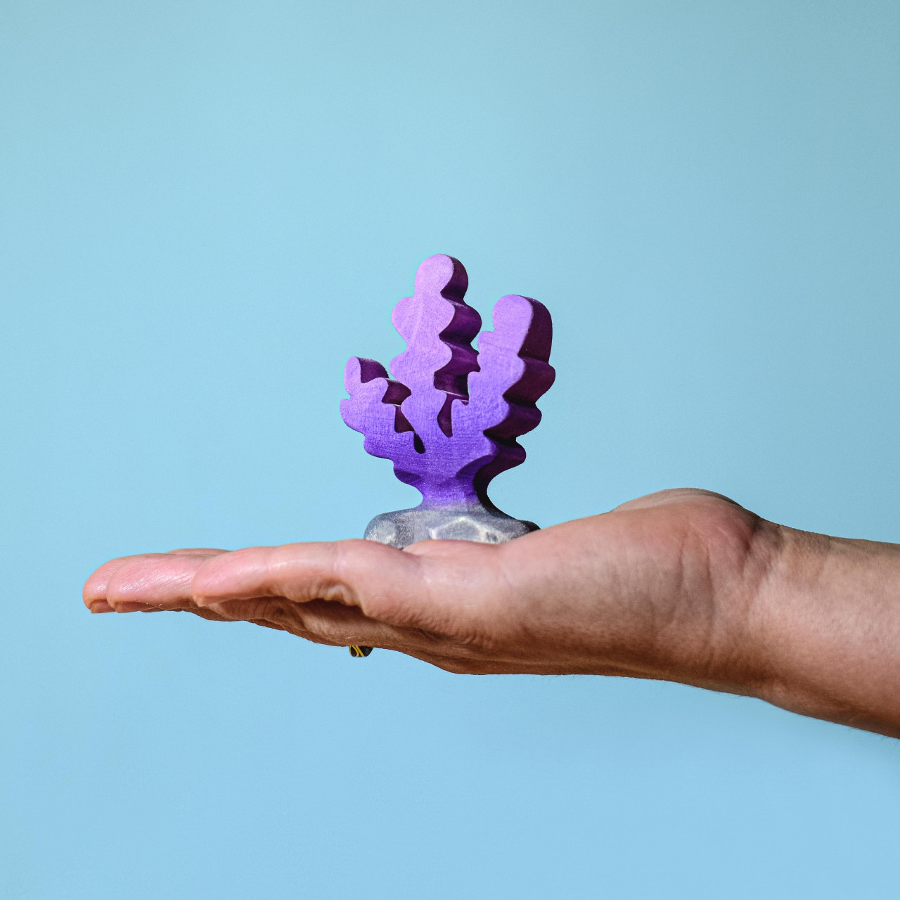 violet-algue-bumbutoys
