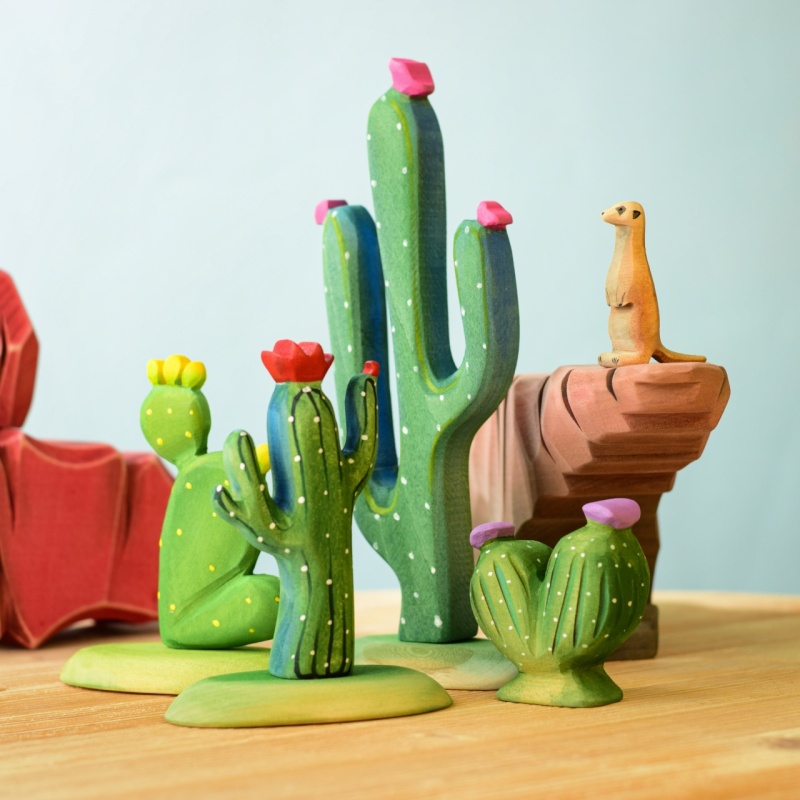 cactus-bumbutoys