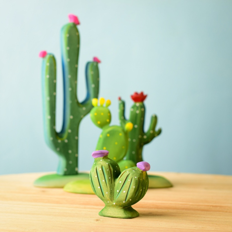 pin-cushion-cactus~7022