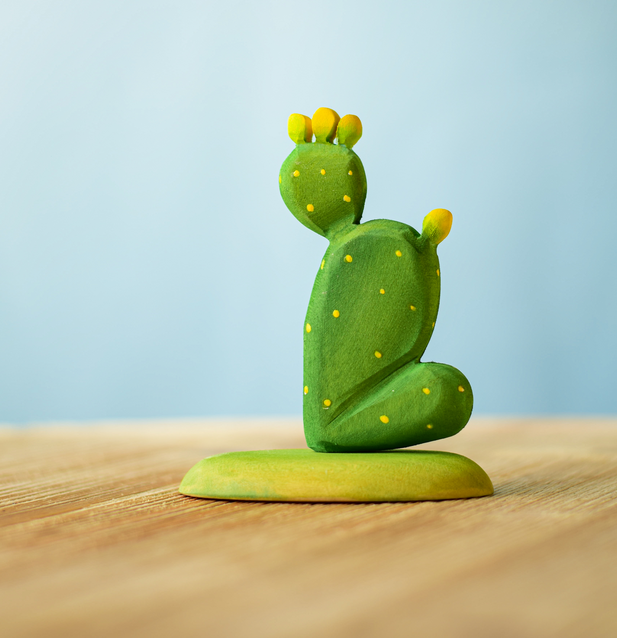 cactus-figuier-barbarie