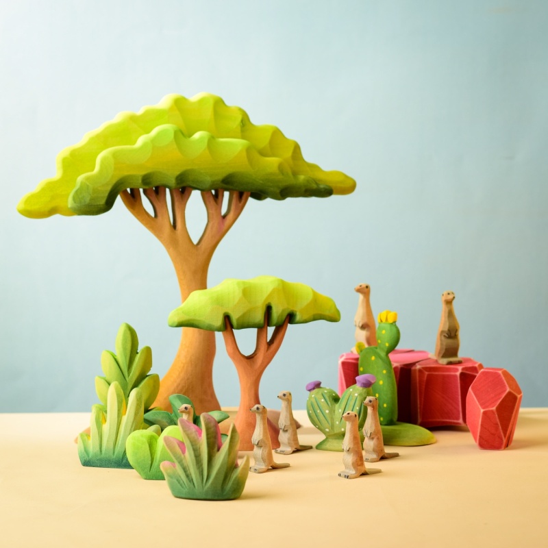 buisson-savanne-bumbutoys