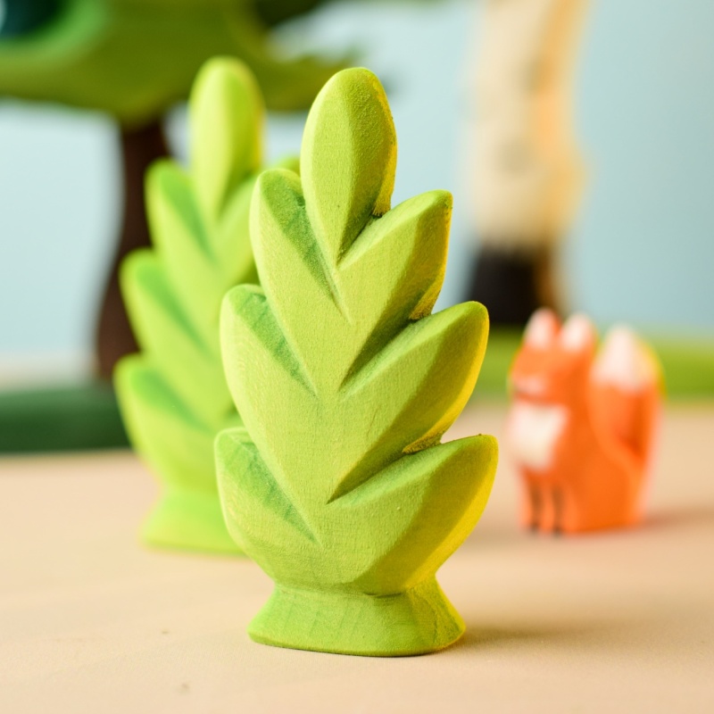 thuja-foret-bumbutoys