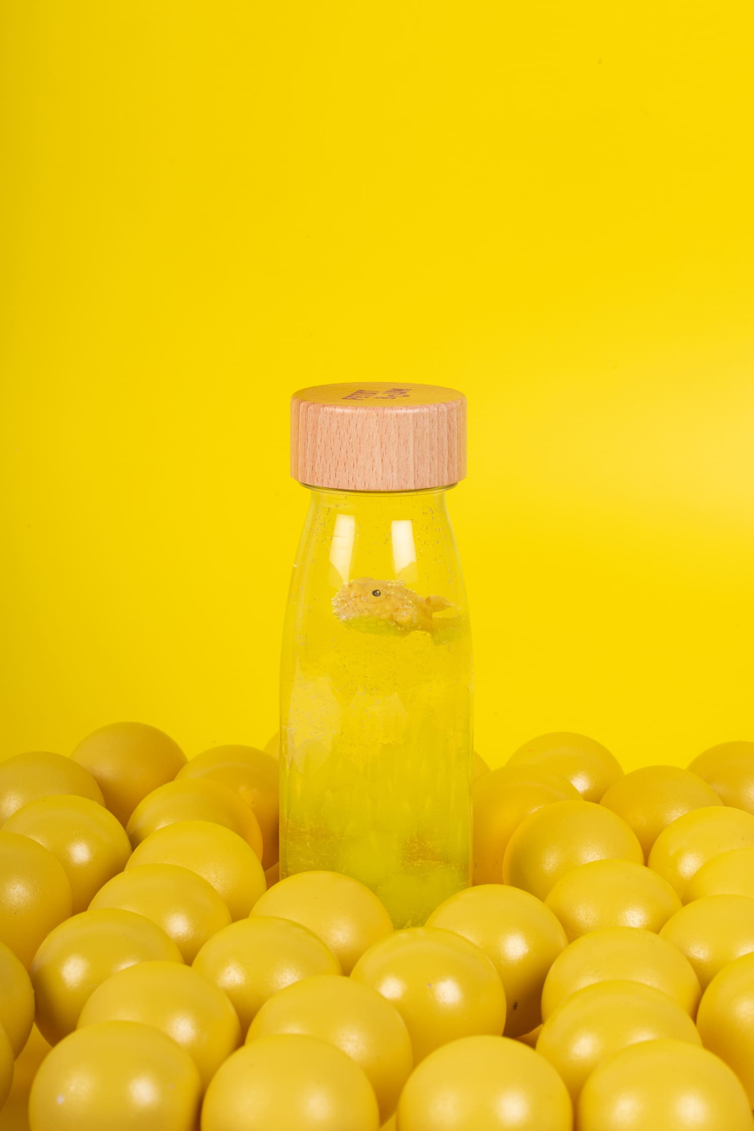 petitboum-poissonjaune