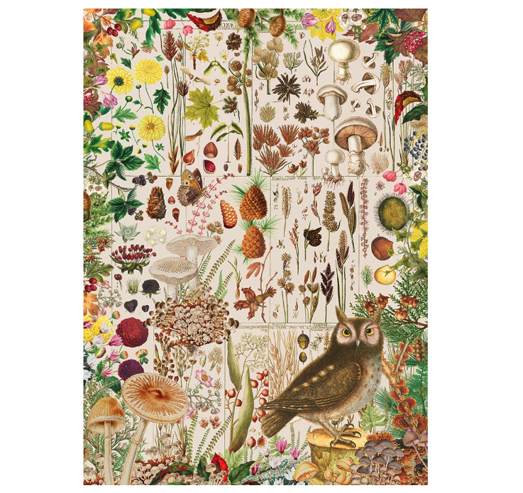 Puzzle Fall Flora - 1000 pièces 1