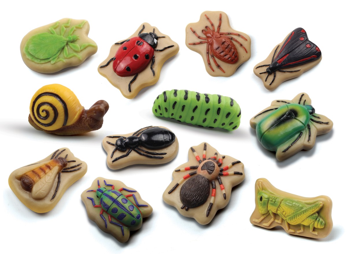 Yellow Door Pierres sensorielles Insectes - Lot de 1513