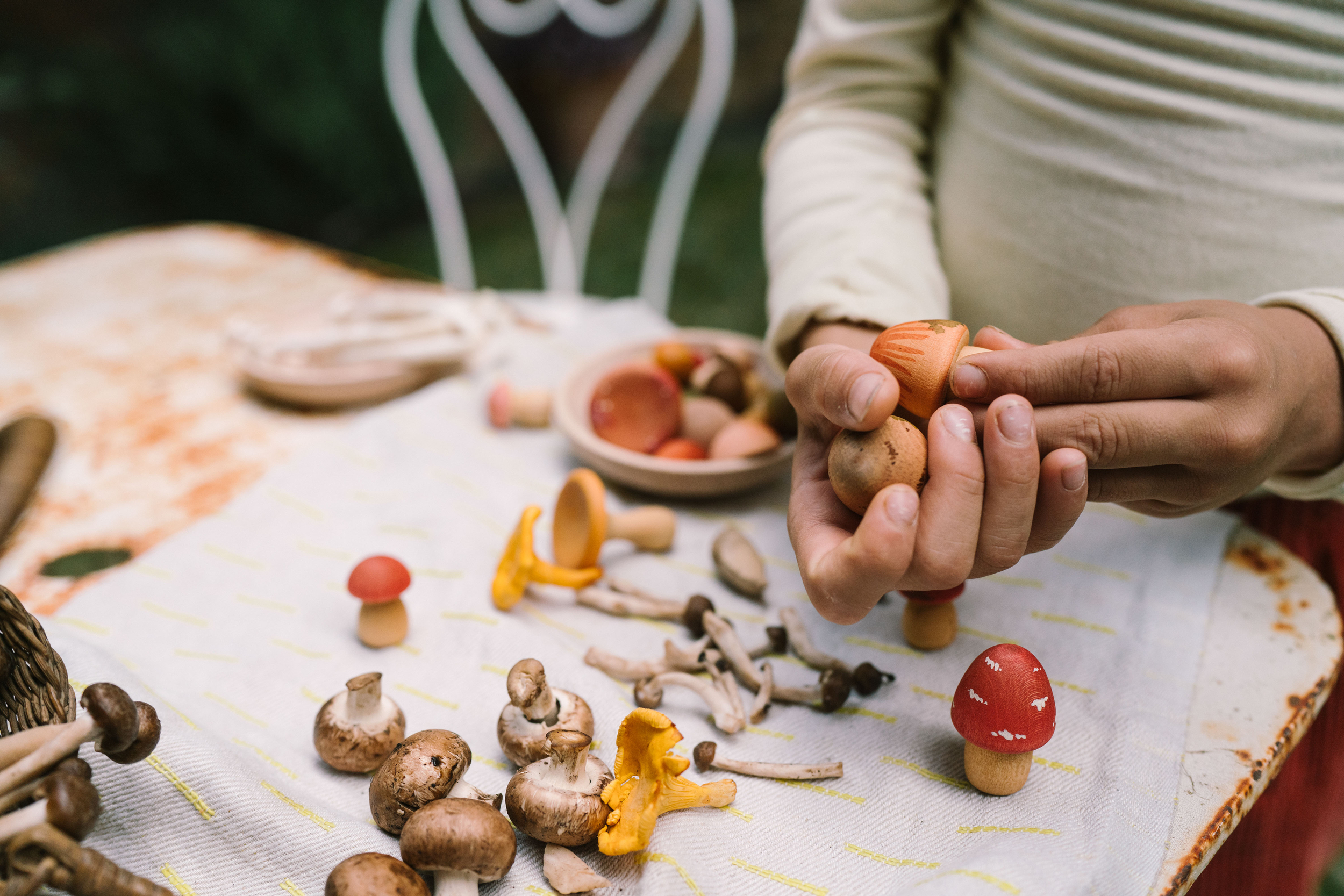 Art 26-284 Mushroom Grove A7R08731 Joguines Grapat