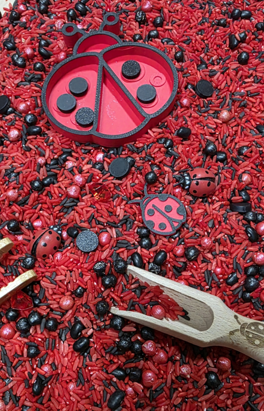 sensoryfun-coccinelles-