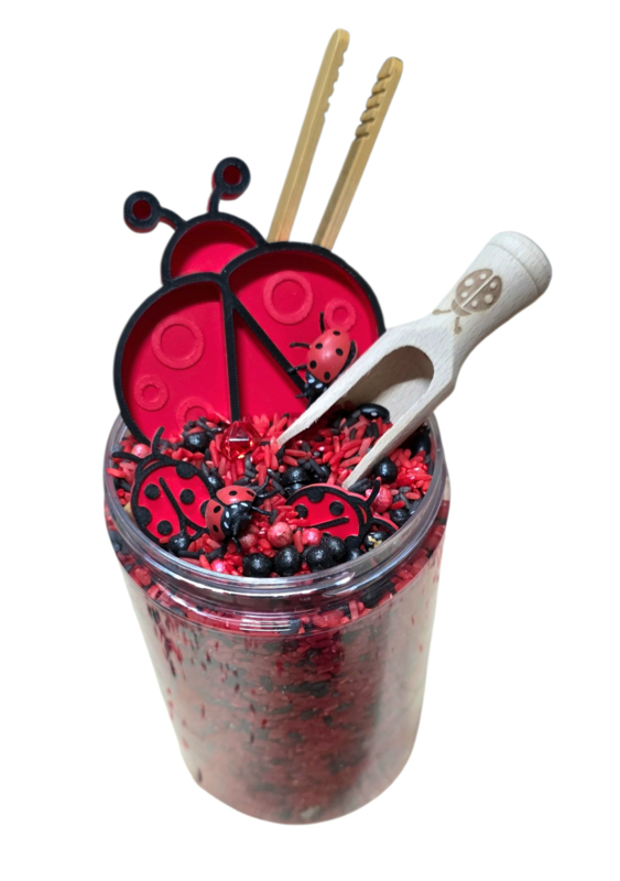 pourandplay-coccinelles-sensoryfun