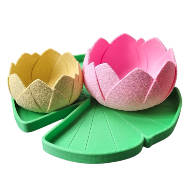 lotus et nénuphar sensoriel
