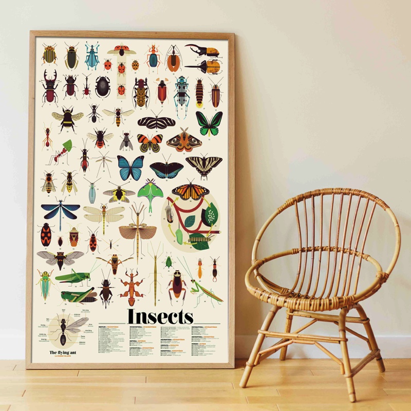Poster géant + 44 stickers Insectes Poppik 2