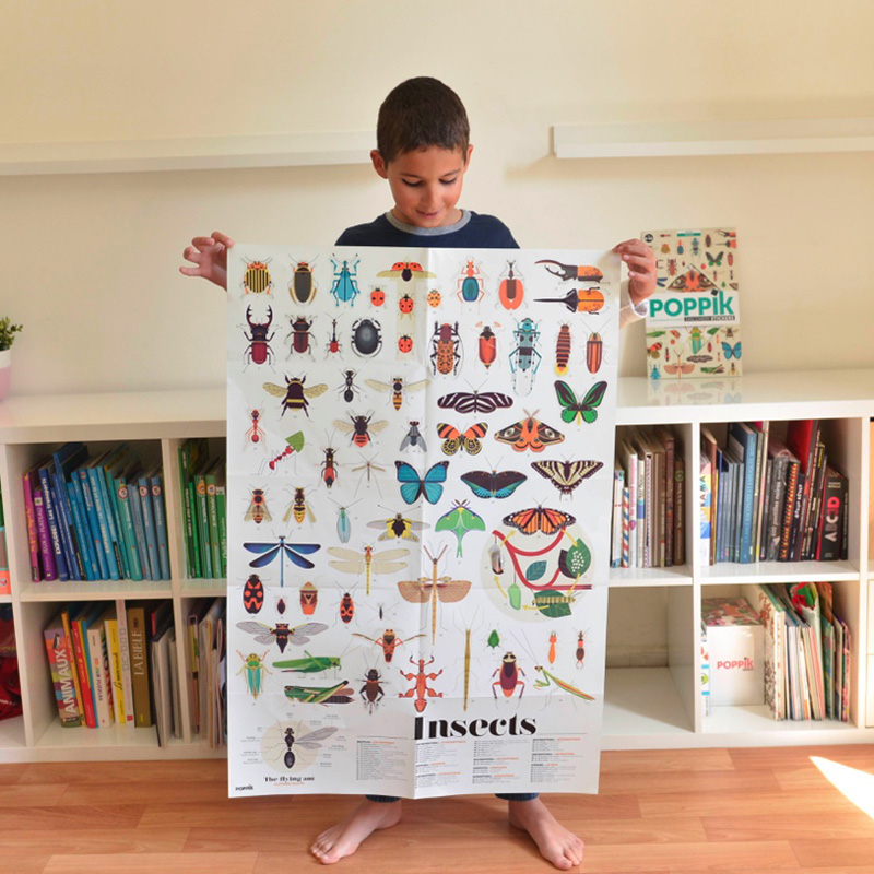 Poster géant + 44 stickers Insectes Poppik 7