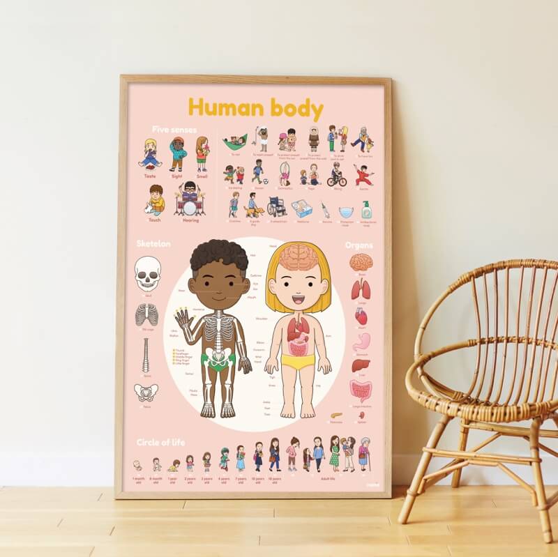 Poster géant + 49 stickers Le corps humain Poppik 3