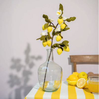 Smv-branche-citron1