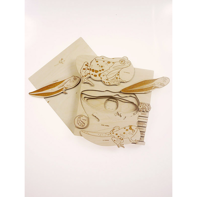 Puzzle multicouches le Cycle de vie de la grenouille Stuka Puka