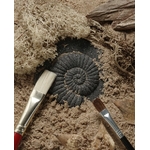 A la découverte des Fossiles Pierres Sensorielles - Lot de 8 pierres Yellow Door 6
