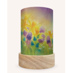 Toverlux Images Lanterne - Illustratrice Exler - Seasons 3