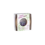 Petit Boum Hochet sensoriel Donut Aubergine (2)