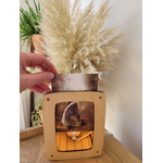 lampe-carte-postale-luminae