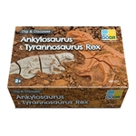 Creuser & découvrir Dinosaures - Yellow Door Ankylosaurus & Tyrannosaurus rex 7