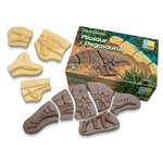 Creuser & découvrir Dinosaures - Pliosaure & Stegosaurus Yellow Door 2
