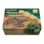 Creuser & découvrir Dinosaures - Pliosaure & Stegosaurus Yellow Door 9