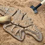 Creuser & découvrir Dinosaures - Pliosaure & Stegosaurus Yellow Door 44