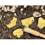 Creuser & découvrir Dinosaures - Pliosaure & Stegosaurus Yellow Door 5