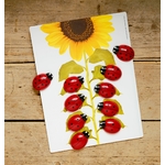 Cartes éducatives Apprendre à compter pour les pierres Coccinelles Yellow Door 2