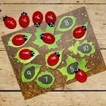 Cartes éducatives Apprendre à compter pour les pierres Coccinelles Yellow Door 5