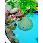 1236-13 Poissons Pierres sensorielles Lot de 8 Yellow Door