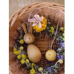 ART 25-278 Hop and Peep 15 Joguines Grapat - Grande