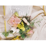ART 25-8249 Hello Spring 27 Joguines Grapat - Grande