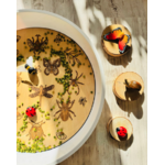 PlayPlayte Insectes pour le PlayTray - Kiddi 5