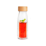 Petit Boum Bouteille sensorielle Move T-rex2
