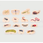 Tickit Insectes en bois - Lot de 154
