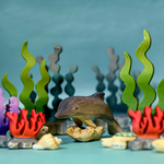 algue-bumbutoys4