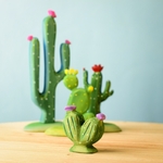 pin-cushion-cactus~7022