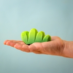 buissondulac-bumbutoys