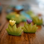 petiteherbe-fleurjaune