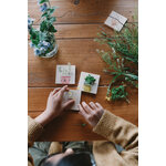 ART 25-243 Calendari Advent  32 Joguines Grapat