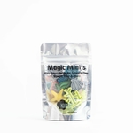 Kiddi Magic Minis Loose parts jeu sensoriel LOcéan