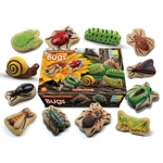 Yellow Door Pierres sensorielles Insectes - Lot de 1515
