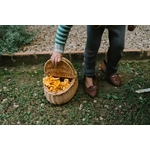 Art 26-284 Mushroom A7R08324 Joguines Grapat
