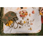 Art 26-284 Mushroom Grove A7R08678 Joguines Grapat
