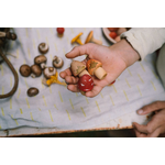 Art 26-284 Mushroom Grove A7R08739 Joguines Grapat