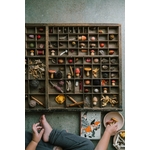 Art 26-284 Mushroom Grove A7R08821 Joguines Grapat