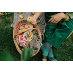 Art 26-286 Fruits A7R05323 Joguines Grapat
