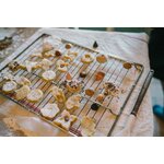 Art 26-288 Bakes A7R09320 Joguines Grapat