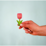 BumbuToys Figurine en bois pour couronne de célébration - Tulipe 1